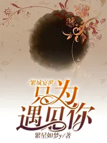 繁城宴世只为遇见你