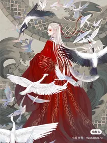 凤逆天下：至尊圣女