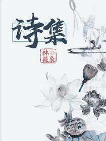 林筱袅诗集