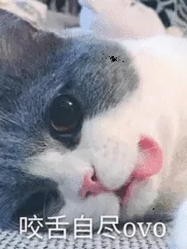 沙雕王妃的日常