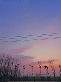 甜在星河里