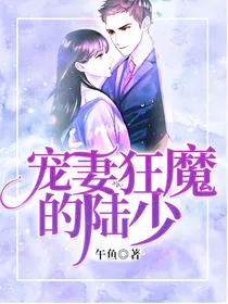 宠妻魔王的陆少