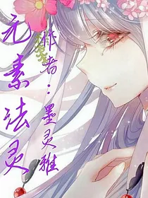 穿越法灵大陆之王妃太冷