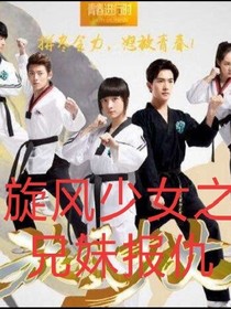 旋风少女之兄妹报仇