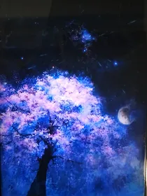 小花仙之爱的时光轮