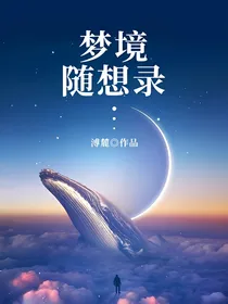 梦境随想录