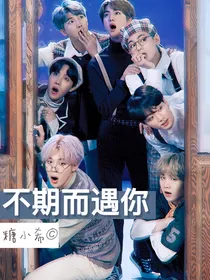 BTS：不期而遇你