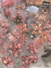 百花愿