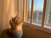 我们的少年时代之给曾经