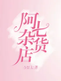 阿七杂货店-d828
