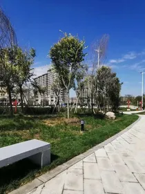 走着走着就和你散了
