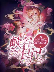 王者荣耀之峡谷日记