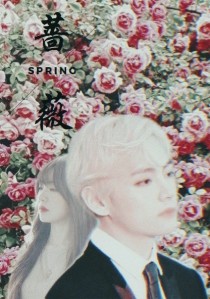 BTS：蔷薇恋人