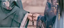 海棠花开，护你无恙