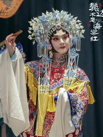 鬓边不是海棠红——又念商细蕊