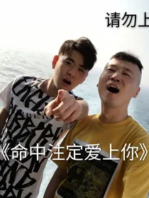 命中注定让爱上你