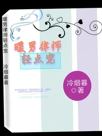 暖男律师轻点宠