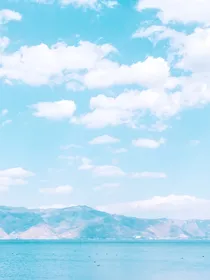 阳光侦探社