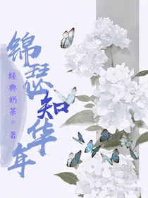 锦瑟知华年