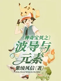 神奇宝贝之波导与元素