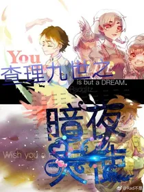 查理九世之暗夜天使