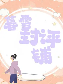 暮色雪封评铺子
