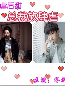 总裁放肆虐（完结）