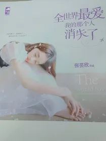 全世界最爱我的那个人消失了……