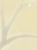 幻情，真情