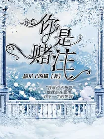 你是赌注