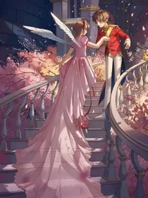 魔卡少女樱之重回过去（补写）