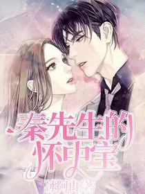 秦先生的怀中宝
