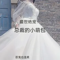盛世绝宠：总裁的小萌包