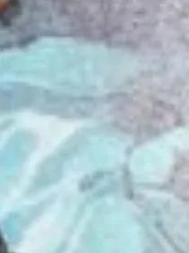 怪物大师伪装成天使的恶魔