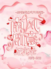 南风知意纪实录