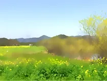 分享图，唯美图，唯美语录