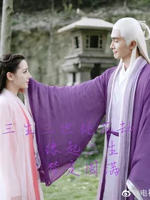 三生三世桃花劫（三生三世枕上书续写）