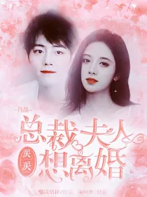 肖战：夫人天天想离婚