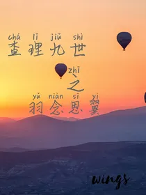 查理九世之羽念思翼