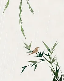 眉眼生姿将军夫人是闺秀