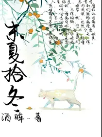 末夏拾冬