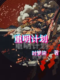 重明计划