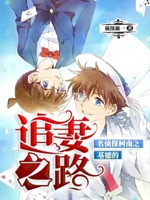 名侦探柯南之基德的追妻之路