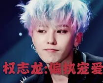 权志龙：偏执宠爱