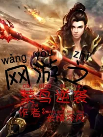 网游之菜鸟逆袭