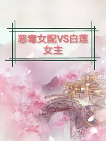 恶毒女配VS白莲花女主