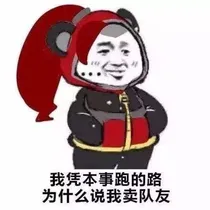 纵横王者峡谷