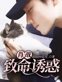 肖战—致命诱惑