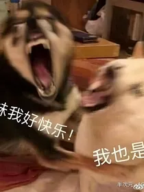 就是一些人物性格的小攻略