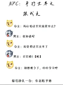 NPC：平行世界之跟我走